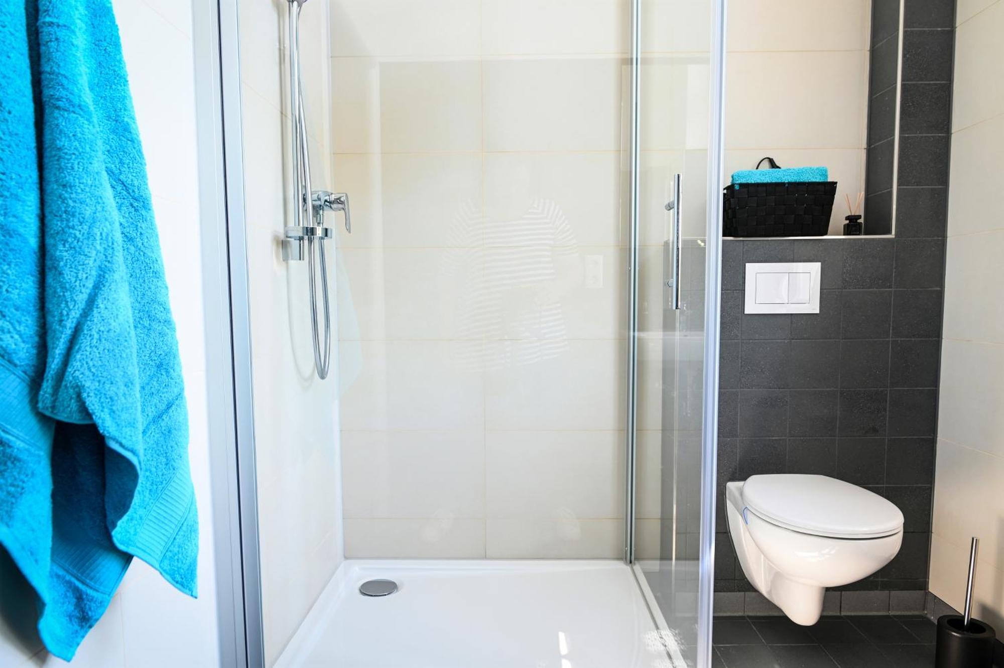 Insel-Apartment Im Herrenhaus Rheinblick Xanten Εξωτερικό φωτογραφία